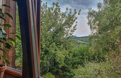 Kałamunka - Foto 28