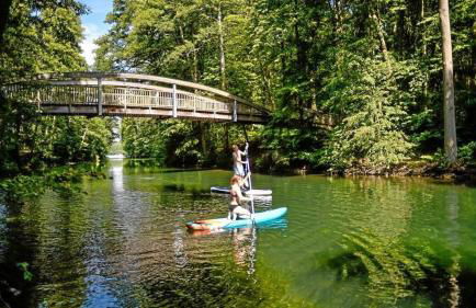 Naturidylle mit Kamin und Sauna in der Schorfheide - Foto 7