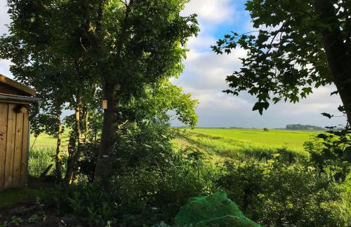 Gartenhaus Frieda - Foto 6