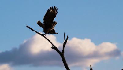 Gîte écologique proche Rocamadour & Gouffre de Padirac Vue vallée Dordogne - Foto 3