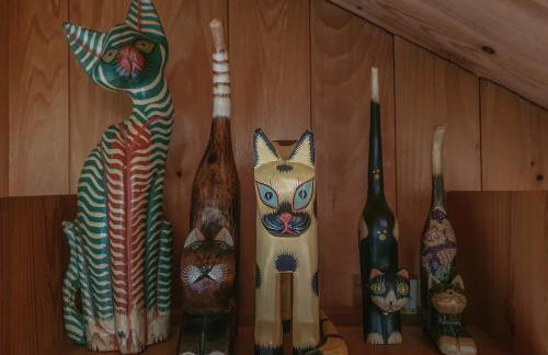 Kałamunka - Foto 50