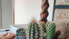 Gasteiz Etxea Il - Foto 3