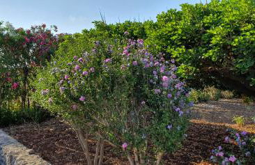La casa sotto le stelle - Ustica - Foto 18