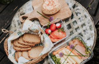 Dziki Las - domki na drzewach - Foto 13