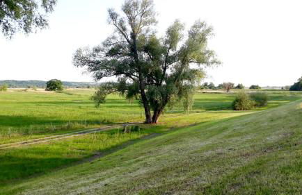 Ferienhaus Grüner Bungalow Kontaktloser CheckIn - Photo 45