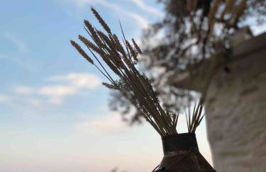 Agreli House - Foto 9