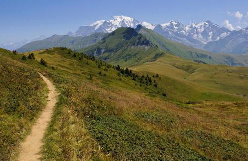 Hotel Le Very - Foto 24