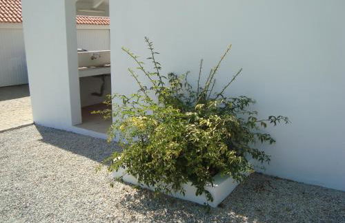 Monte das Texugueiras - Foto 19