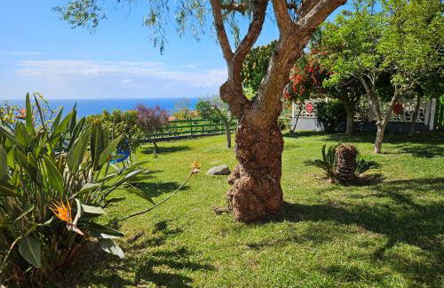 Case Vacanze Macchione - Foto 60