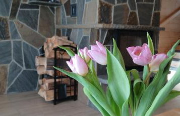 Tatra West Farm - Foto 13