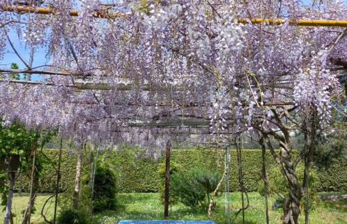 Casetta in Collina - Foto 13