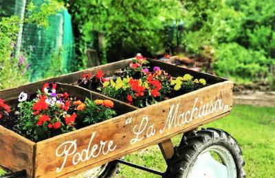 Podere La Machiusa - Villa with pool - Foto 19