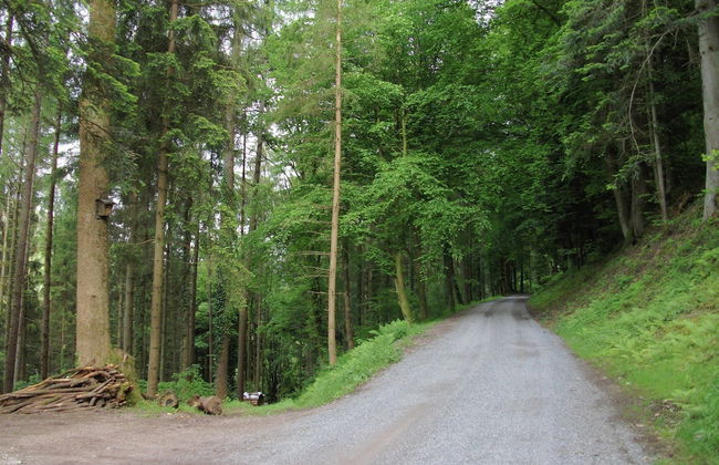 Ferienwohnung in Schiltach - Foto 15