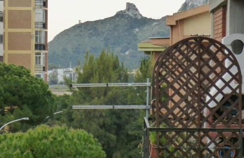 Chelu & Luna - Foto 65