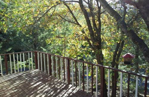 Historical Cabin in Julian Pet's okay! - Foto 19