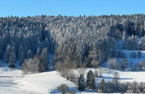 Apartment in Dachsberg-urberg - Foto 40