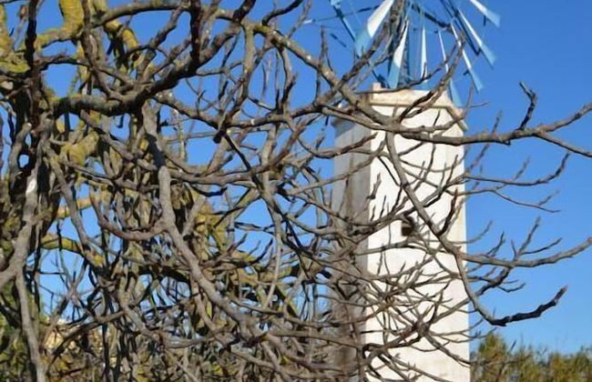 Agroturismo Finca Son Amora - Foto 14