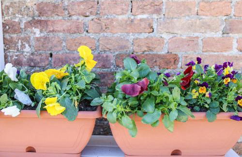 Antica Cantina Emilia - Foto 94