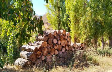 apartamentos turisticos la gitanilla - Foto 39