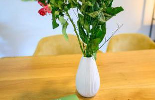 Pausenhof Spreewald - Viel Platz für gemeinsame Zeit - Ruhige Spreewald-Fewos in Alleinlage - Kinder reisen kostenlos! Hunde Willlkommen - Foto 40