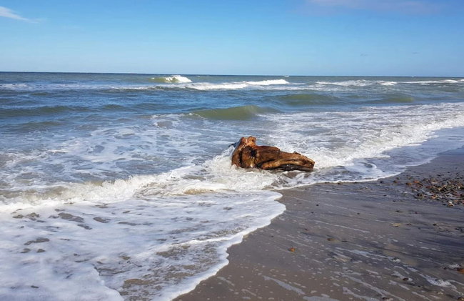 6 Person Holiday Home in Skagen - Foto 25