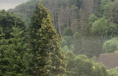 Ferienhaus Rübeland - Foto 34