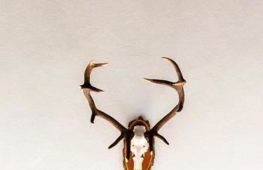 O Refúgio - Foto 59