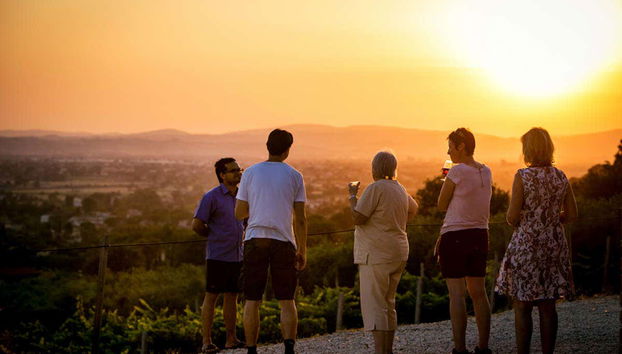 Visita a una cantina con degustazione di formaggio e vino umbro - Foto 3