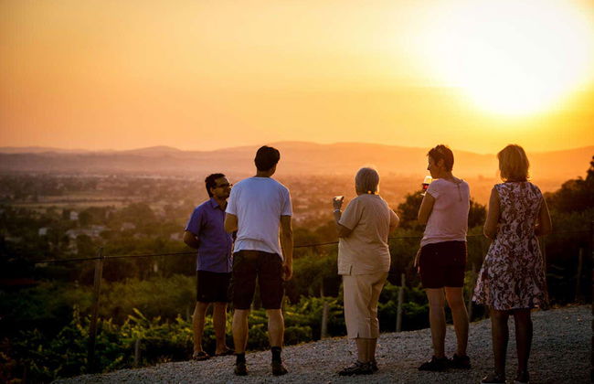 Visita a una cantina con degustazione di formaggio e vino umbro - Foto 3