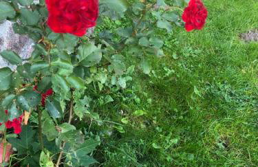 Leśna Residence & SPA - Foto 43