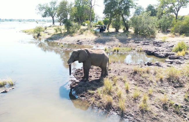 Mopani Lodge - Foto 75