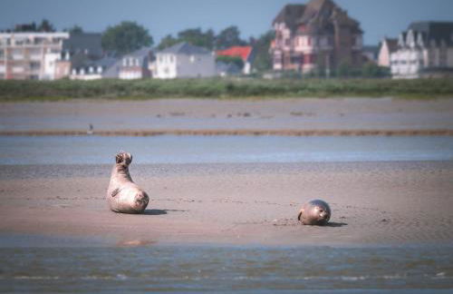 L'avocette Gîtes de la réserve - Foto 6