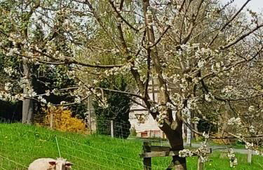 Wolfsgrund 14 - Foto 16