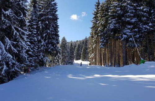 Ferienwohnung im Landhausstil - Foto 38