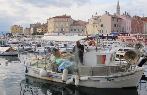 Apartments Villa Rosa - Foto 18