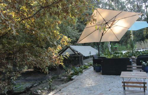 Bosque dos Amieiros - Foto 49