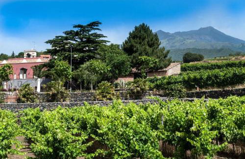 Villa Eremo Sant'Emilia - Foto 30