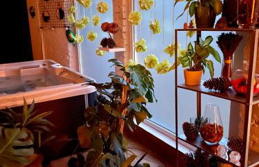 wySPAne Katowice - Foto 4