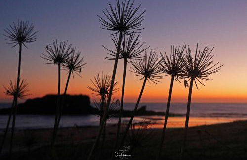 LOFT NORDESTE - Foto 28