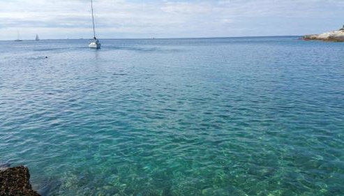 Apartman Dana - Photo 3