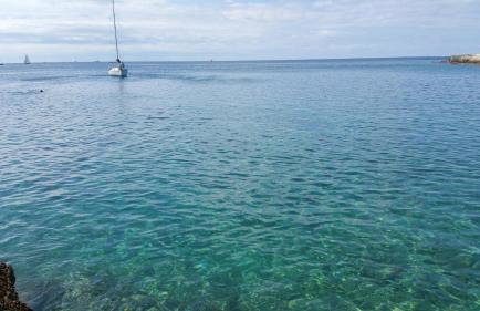 Apartman Dana - Foto 3