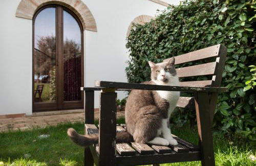 Villa Coralia Agriturismo - Foto 44