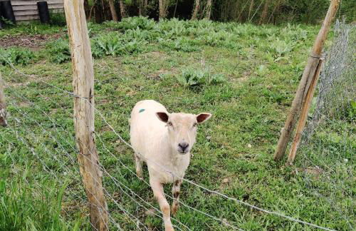 Tipi Dakota des monteaux - Photo 58