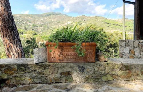 Elba Villa Colle - Nel verde ma vicina al mare - Foto 43