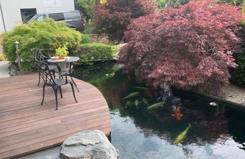 Gemütliche Wohnung in Ortsrandlage - Foto 29