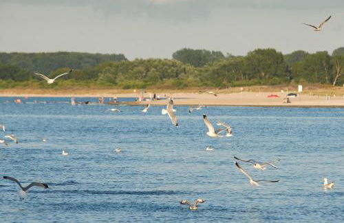 Ferienwohnung Sonnendeck Moba-Travel - Foto 13