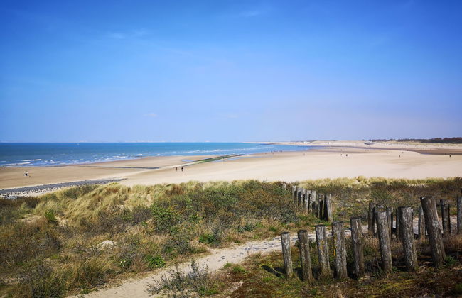 2 bedroom House in Schoondijke with garden and terrace - Photo 34