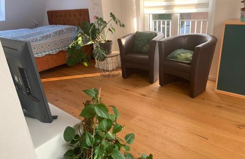 Wohnung Nähe Clemenshospital - Foto 21