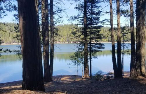 Cozy Mountain Cabin Yosemite Dodge Ridge Ski - Foto 56