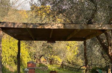 Podere Val di Vico - Foto 17